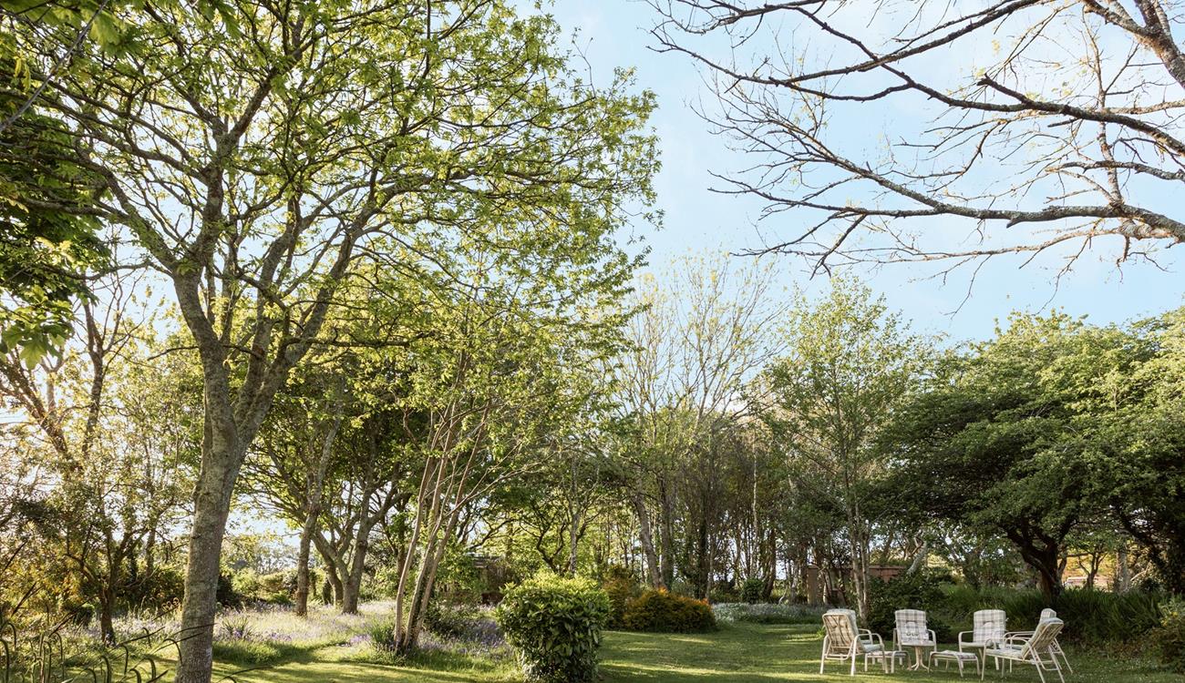 The garden even has a little pond! Sip your morning coffee as you watch the water ripples and feel the stress of day to day life drift away.