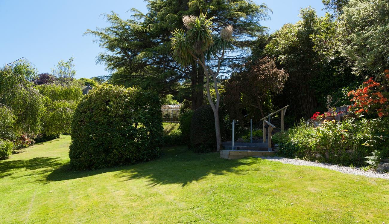 A great place for hide and seek!