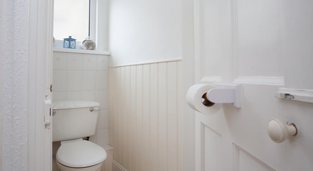 Why not take a boat trip and see if you can see any seals or even dolphins?