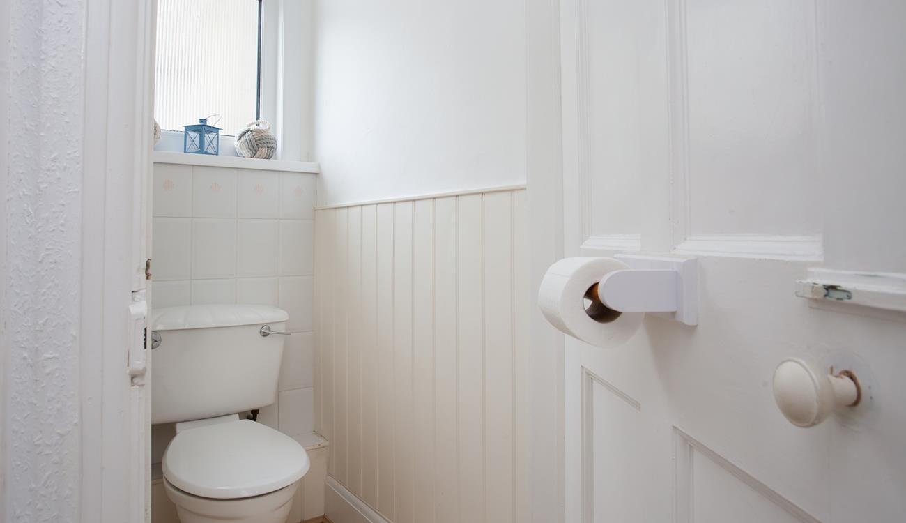 Why not take a boat trip and see if you can see any seals or even dolphins?