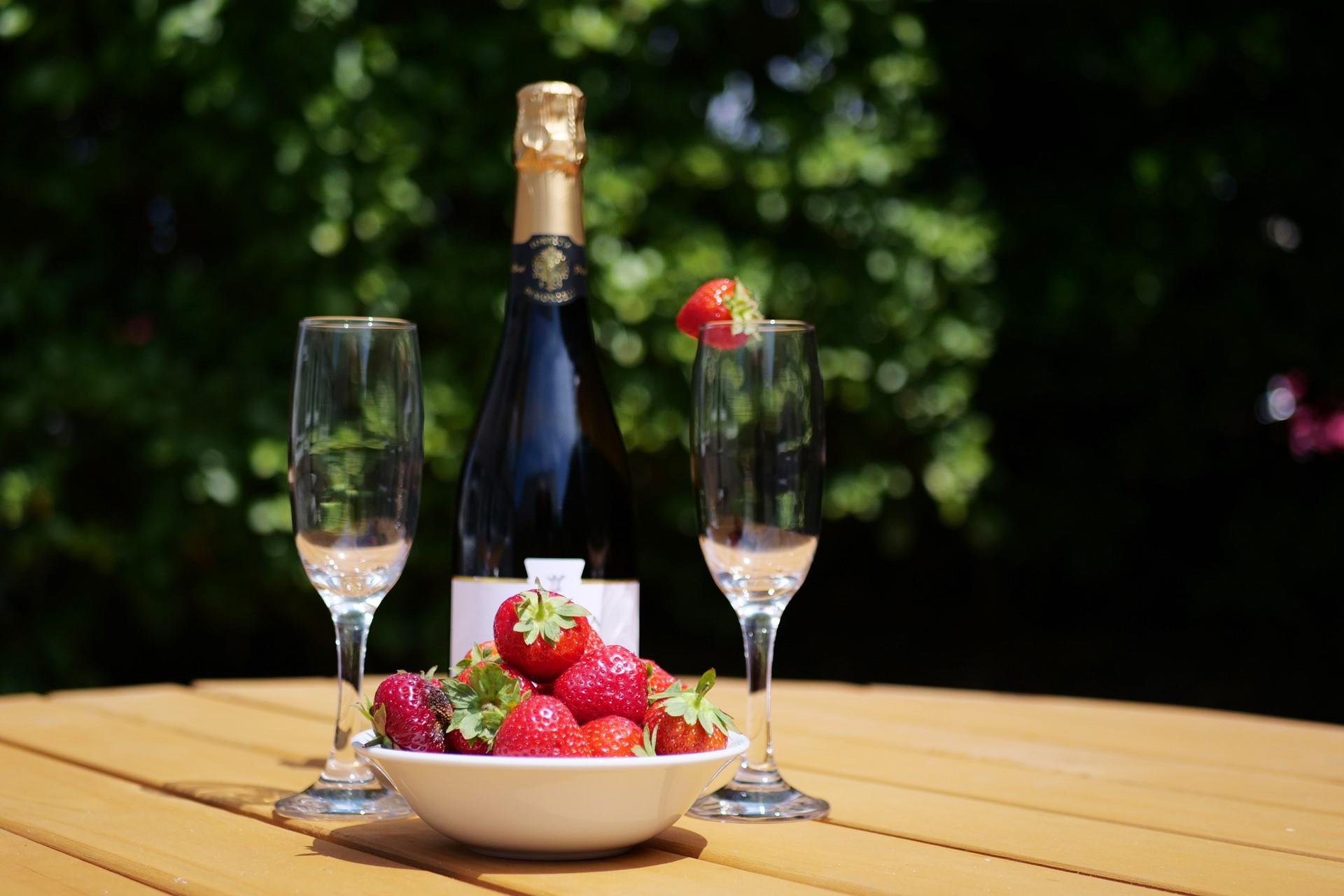 Relax and unwind in the garden.