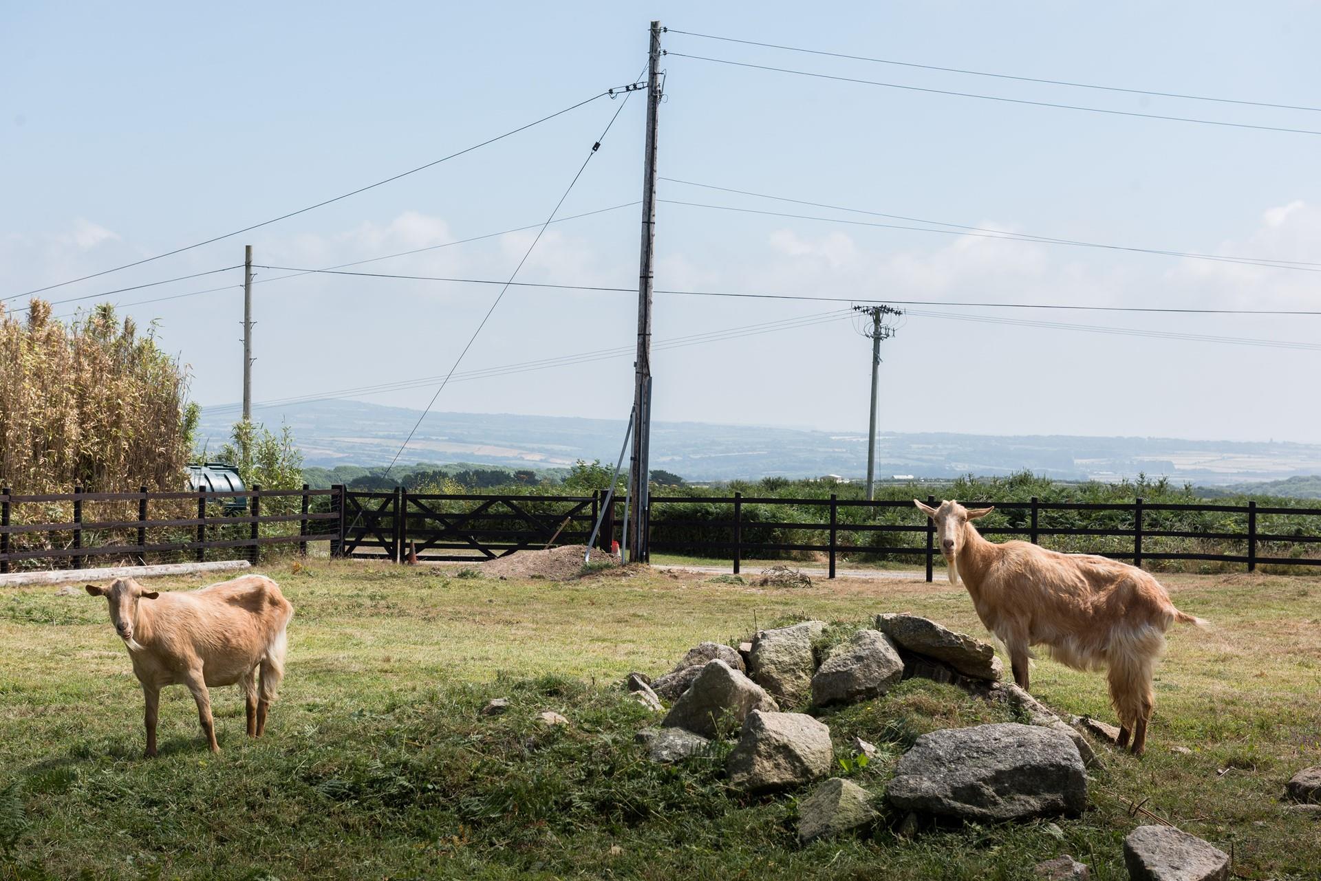 Say hello to the friendly neighbours. 