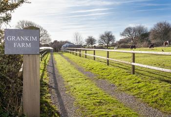 The Cowshed is within easy access of popular beauty spots such as Kynance cove and Godrevy point.