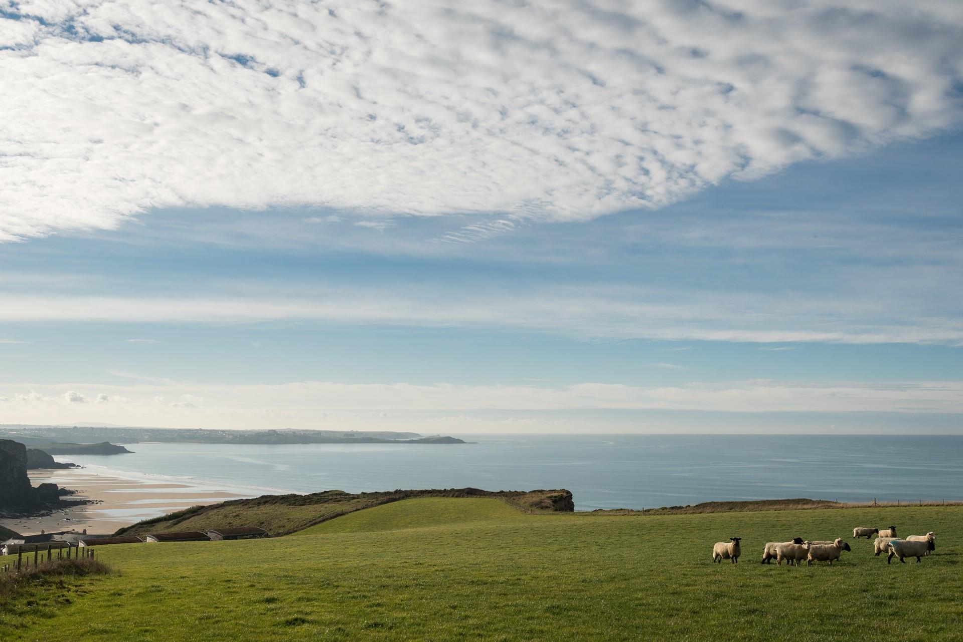 Explore the south west coast path where you can enjoy unspoilt views.
