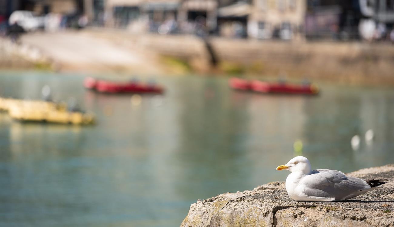 3 St Bridgets is also dog friendly, so you can bring your four-legged friend along with you!