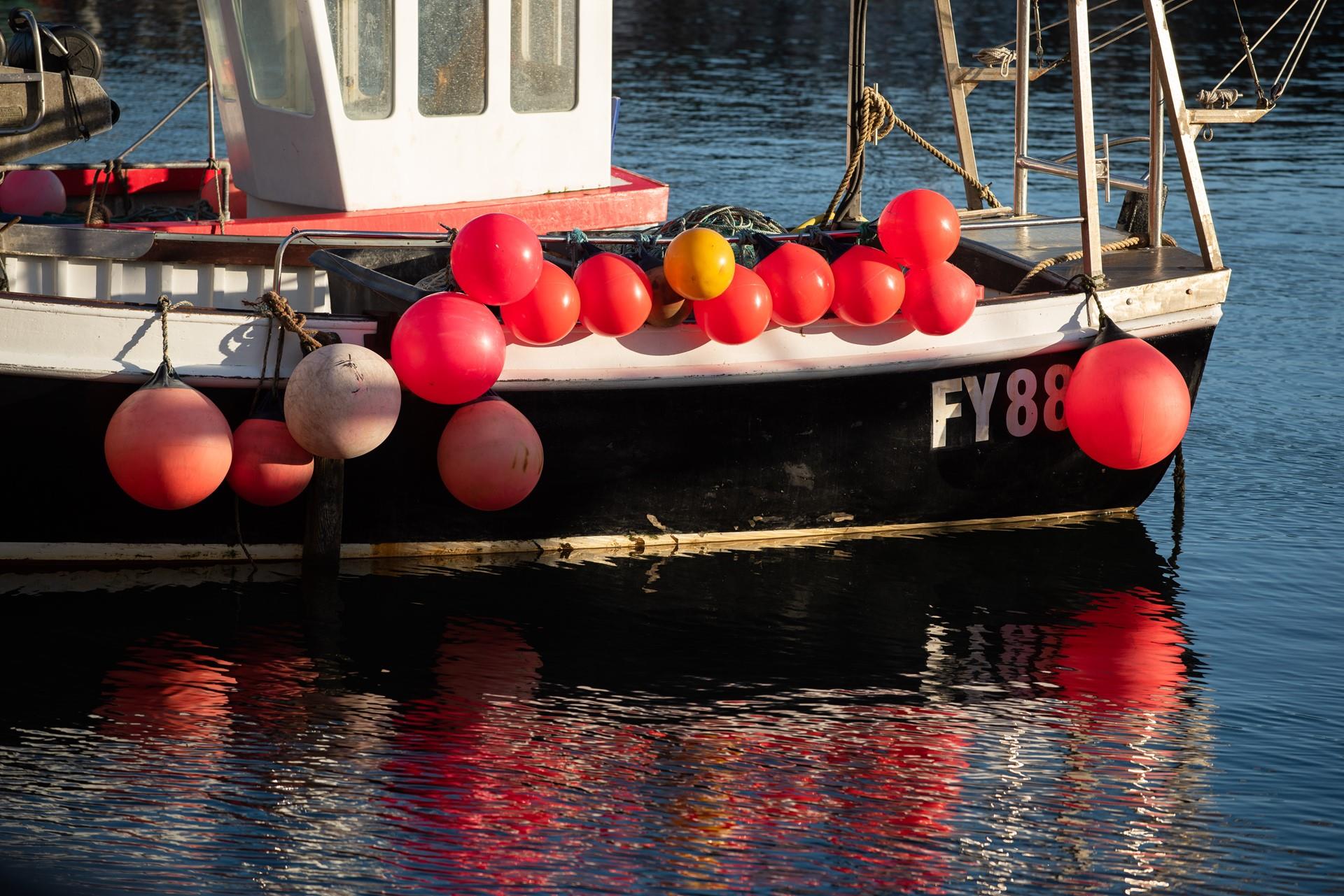 Many boats from nearby Fowey moor at Mevagissey harbour.