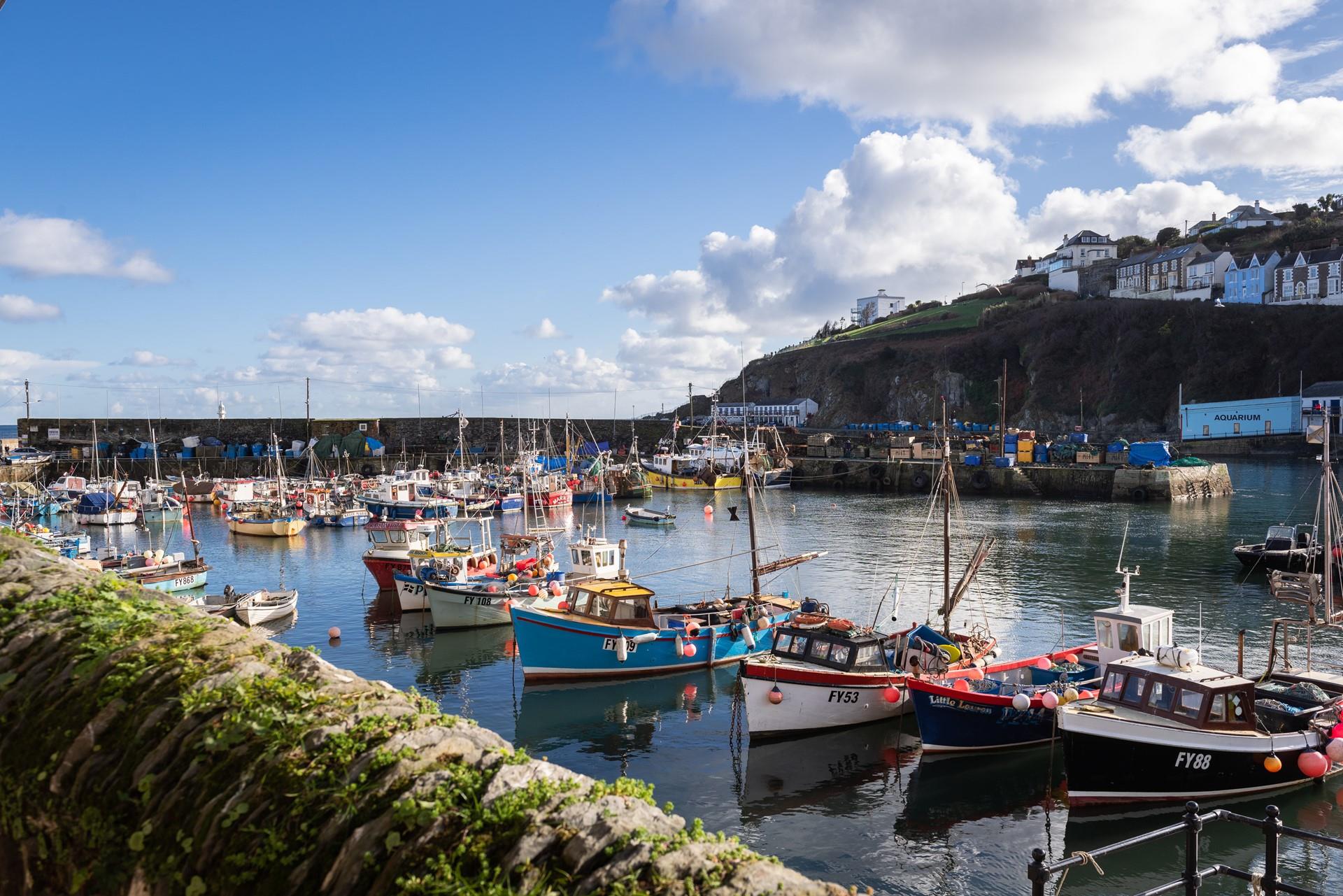 Mevagissey is proud to be a working harbour; you'll see many fishermen working here during your stay. 
