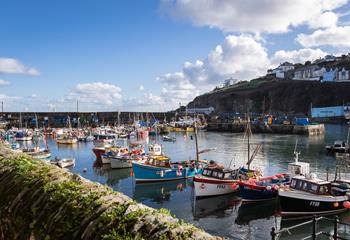 Mevagissey is proud to be a working harbour; you'll see many fishermen working here during your stay. 