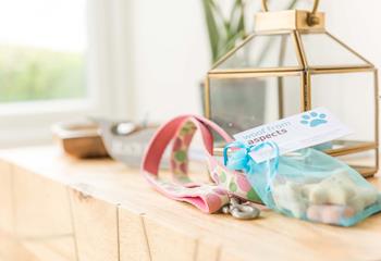 Pets are welcome at Seascape House, so your four-legged friend can enjoy a holiday too. 