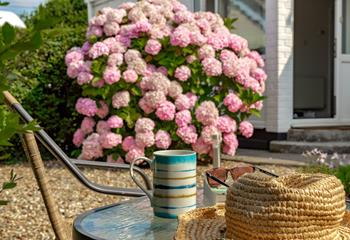 The garden is a relaxing space to unwind from the stress of daily life.