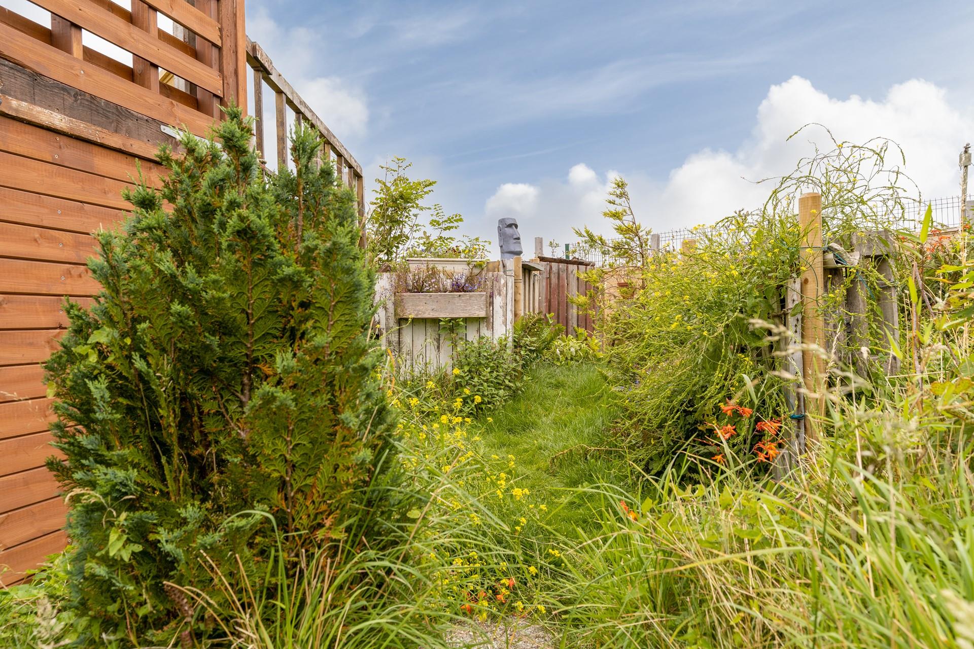 Sit out and listen to the wildlife in your garden.