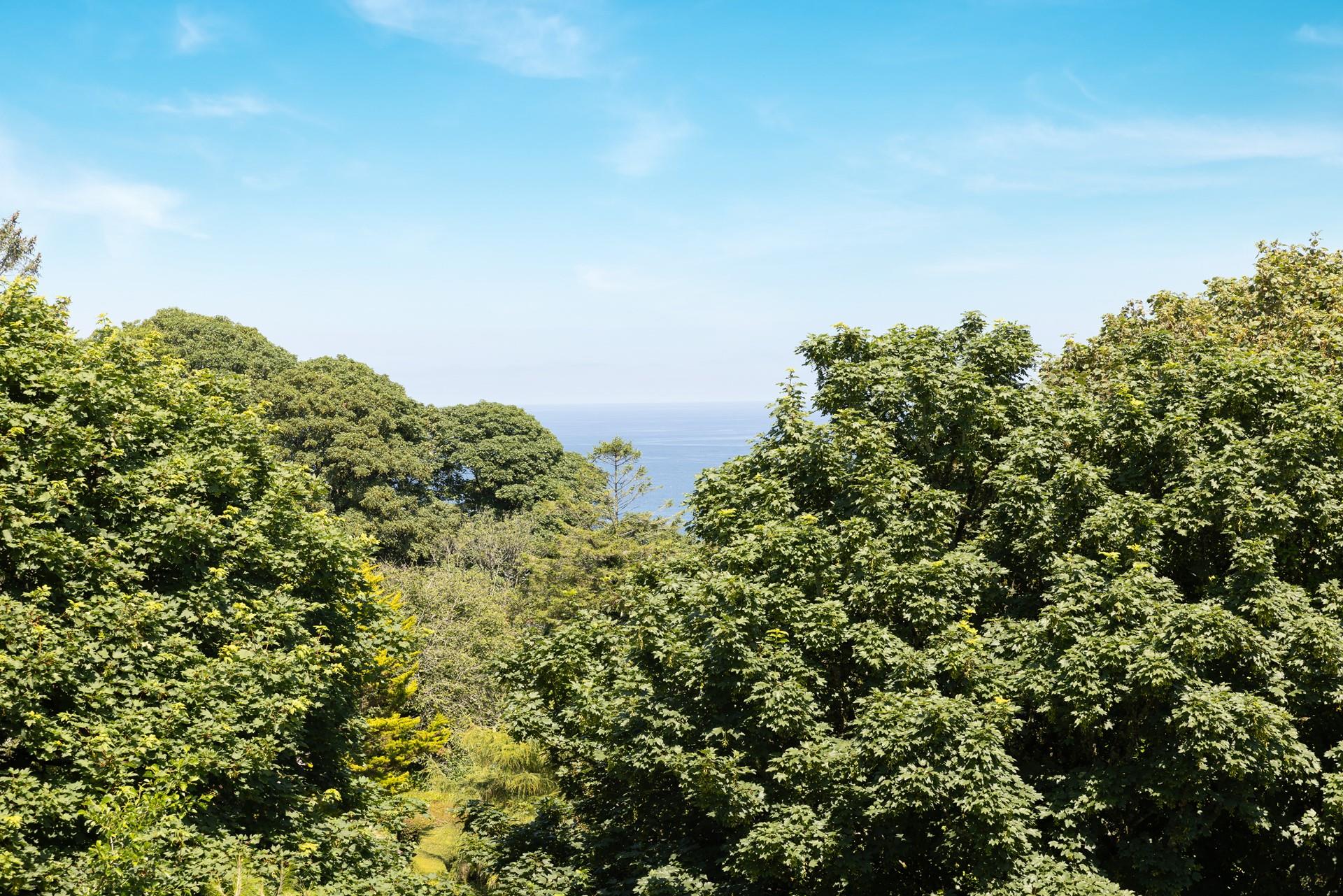 Glimpse crystal waters through the luscious greenery.