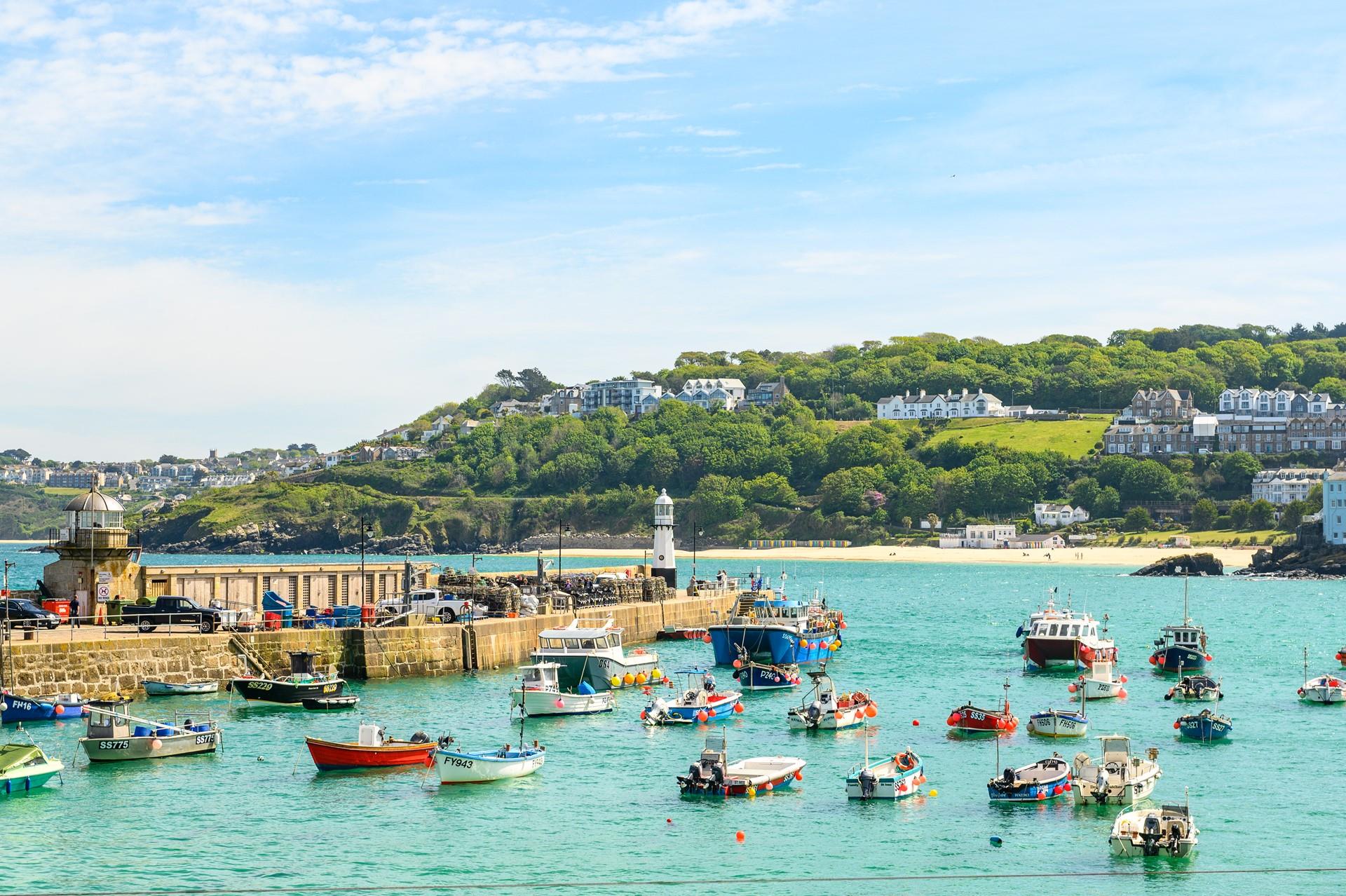 Why not go for a boat trip and see if you can spot any seals in the Cornish waters.
