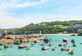 Why not go for a boat trip and see if you can spot any seals in the Cornish waters.