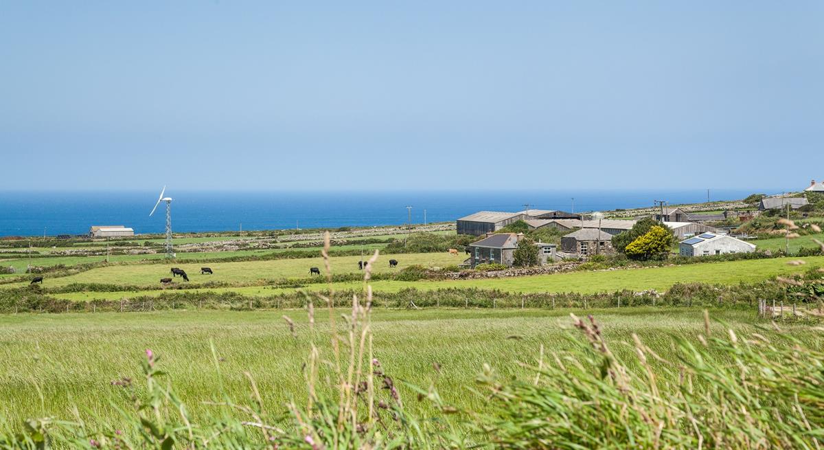 Sit on your steps, breathe in the fresh countryside air and watch the cows grazing in the fields. 