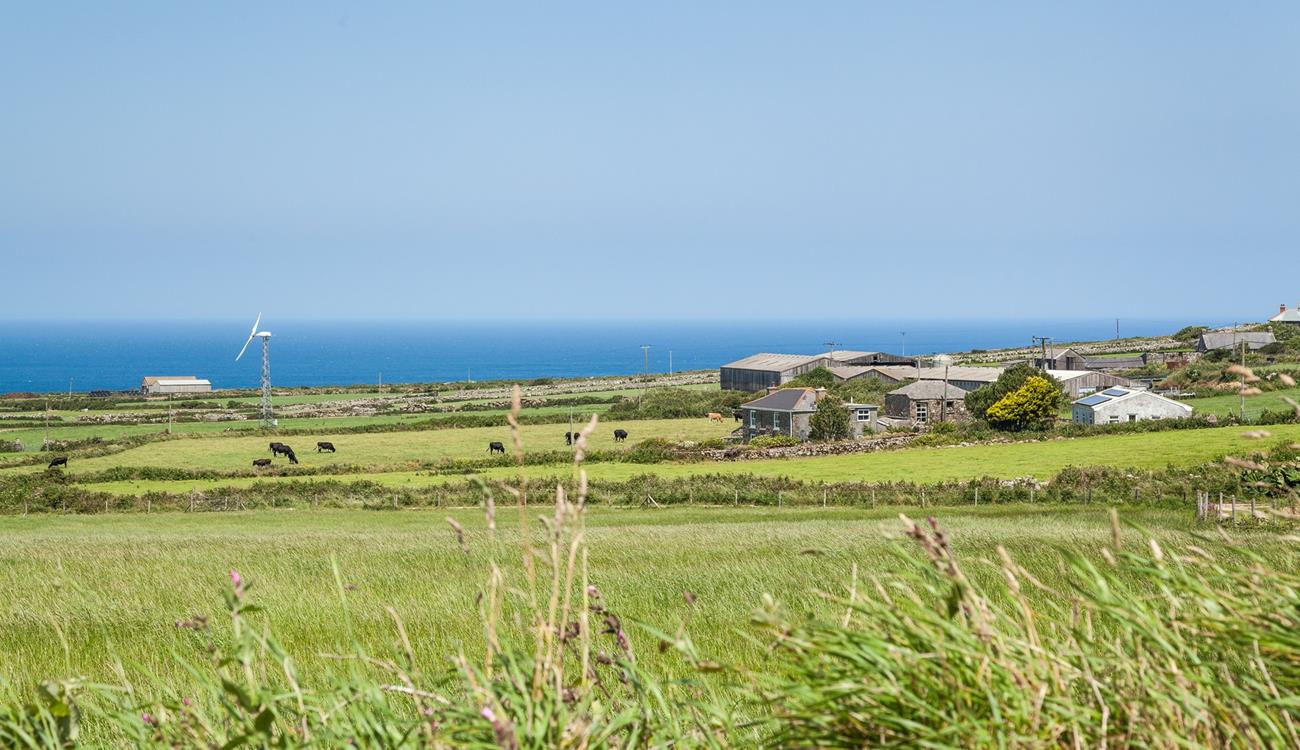 Sit on your steps, breathe in the fresh countryside air and watch the cows grazing in the fields. 