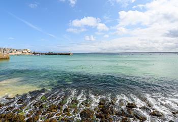 Why not take a boat trip and see if you can spot any seals or even dolphins in the Bay?