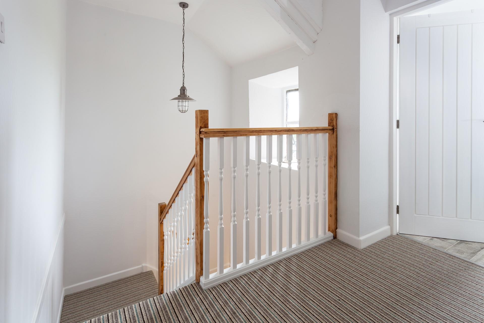 You can bring your furry friend along with you too!