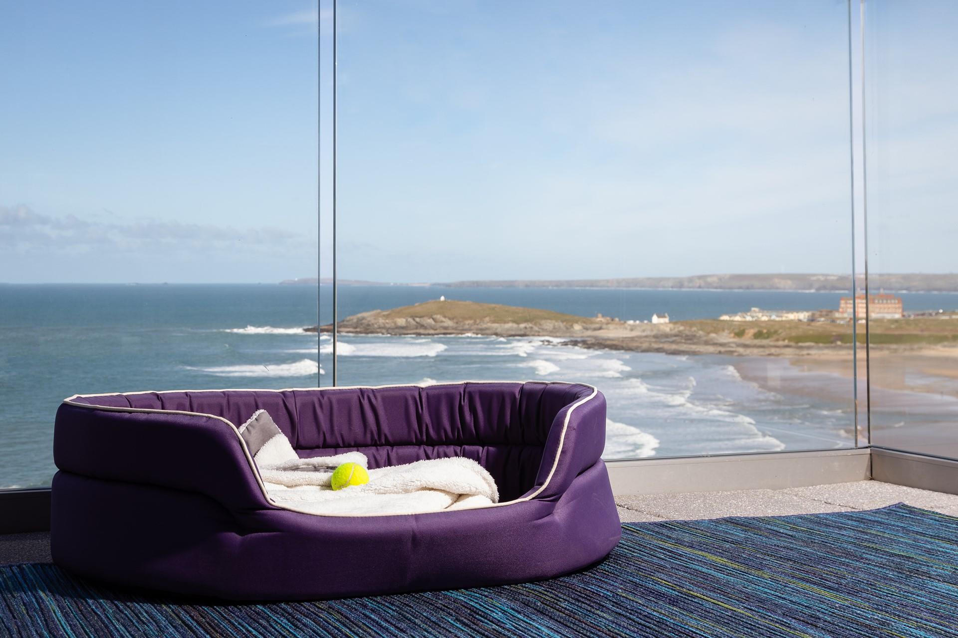 Your furry friend doesn't have to miss out on the fun!