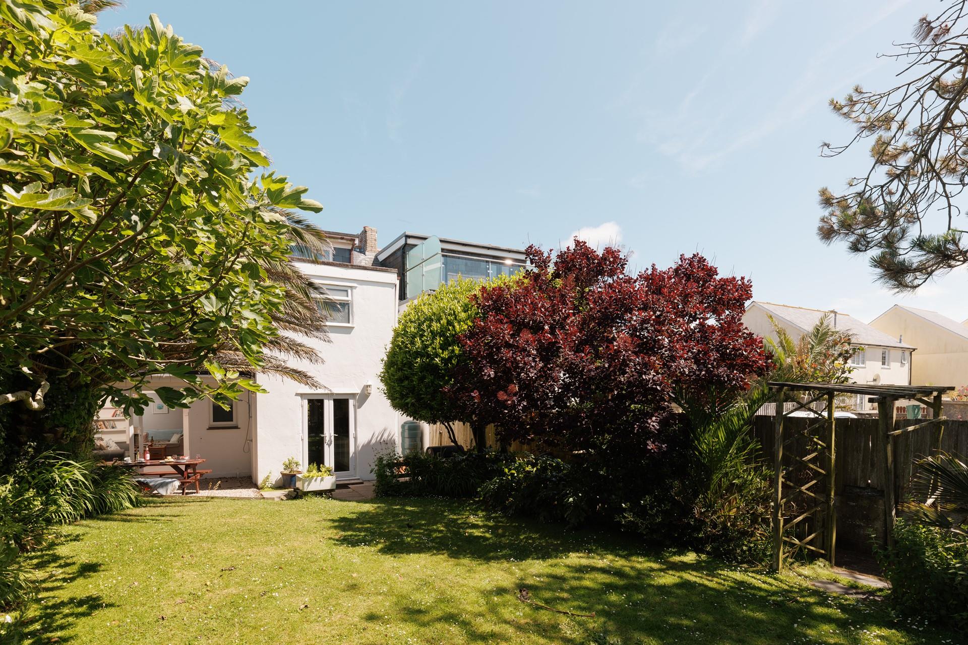 Let your furry friend run off some steam in the garden!