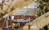 Enjoy some al fresco drinks and nibbles in the garden. - Thumbnail Image