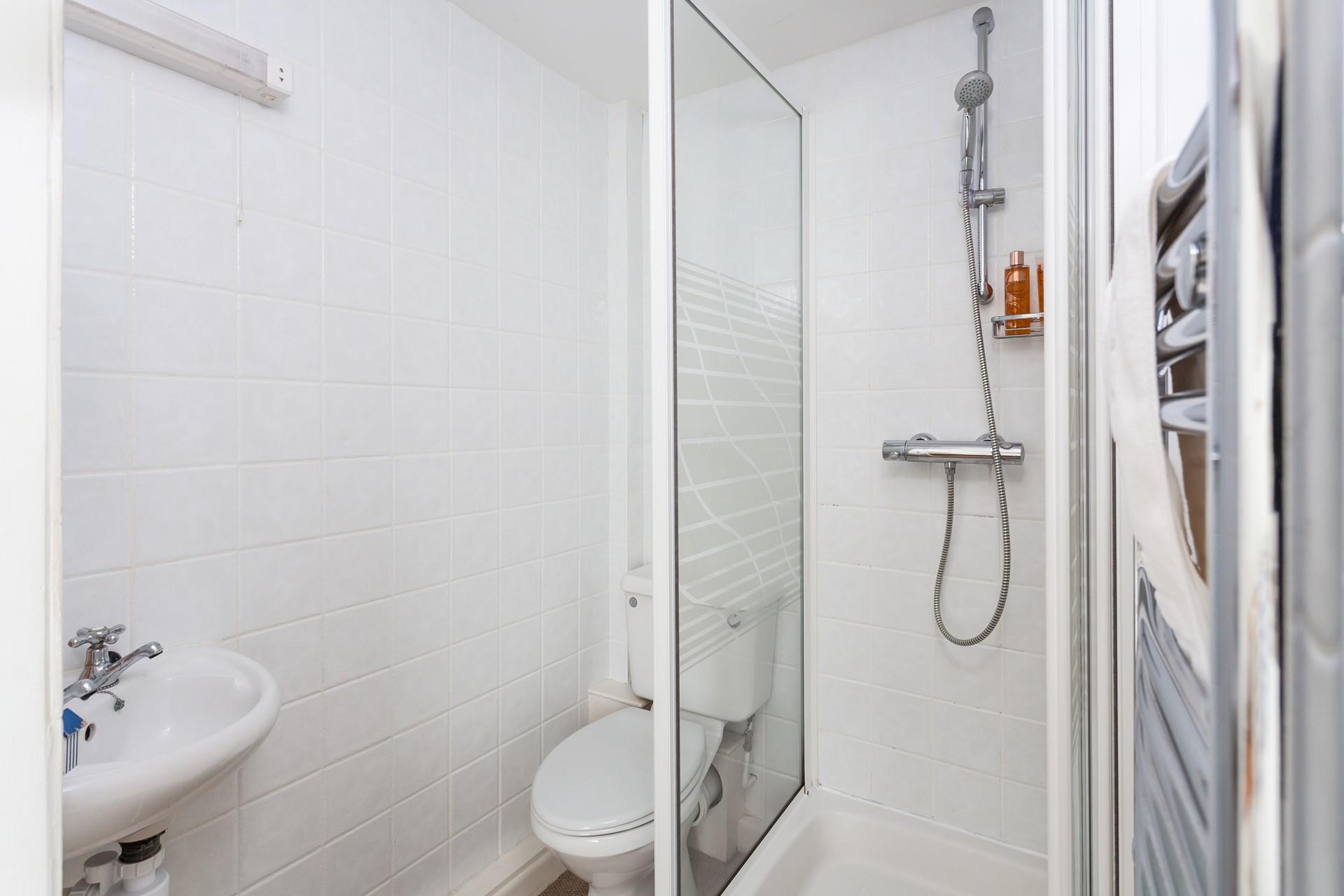 Herring Gull, Sennen Aspects Holidays