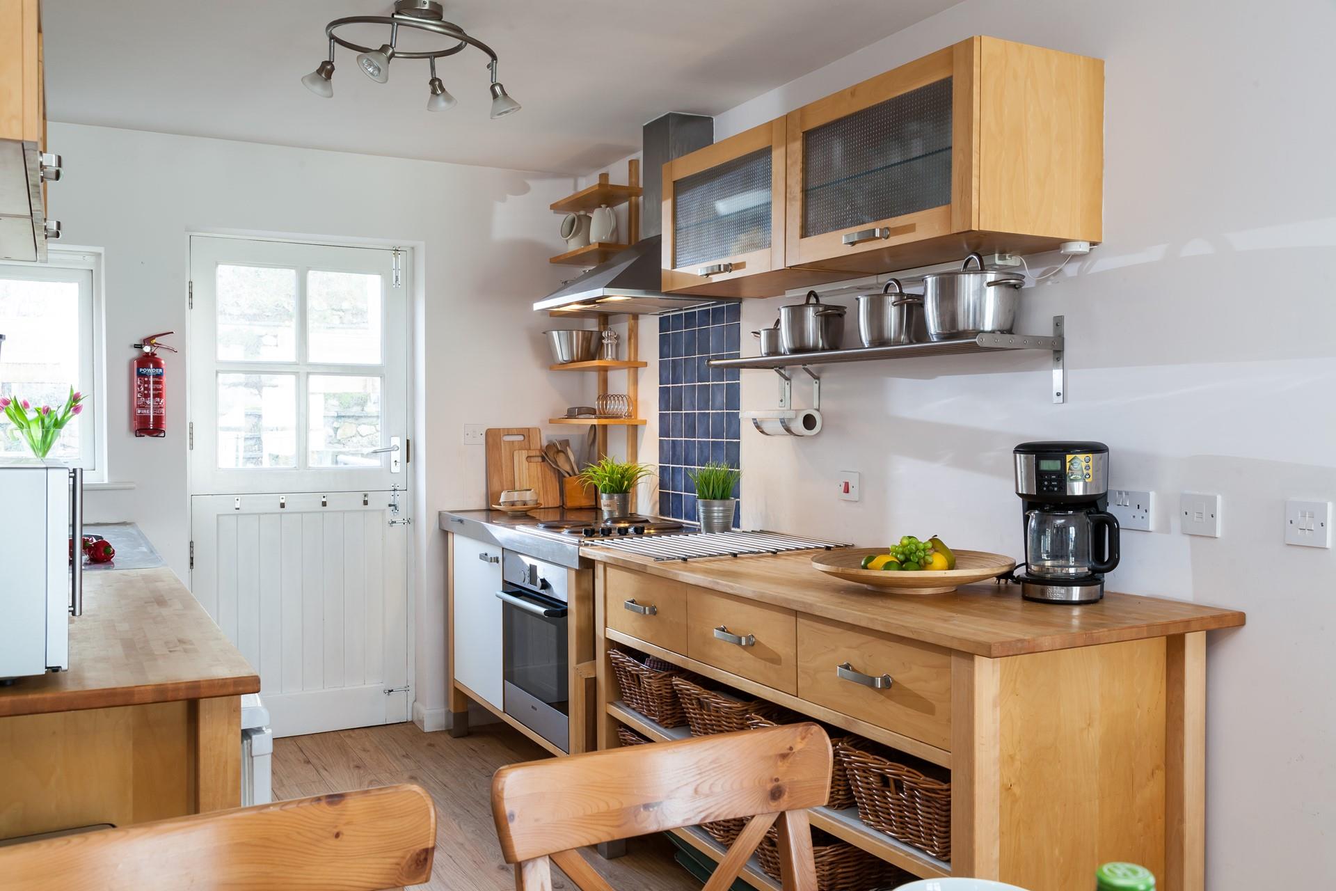 Herring Gull, Sennen Aspects Holidays