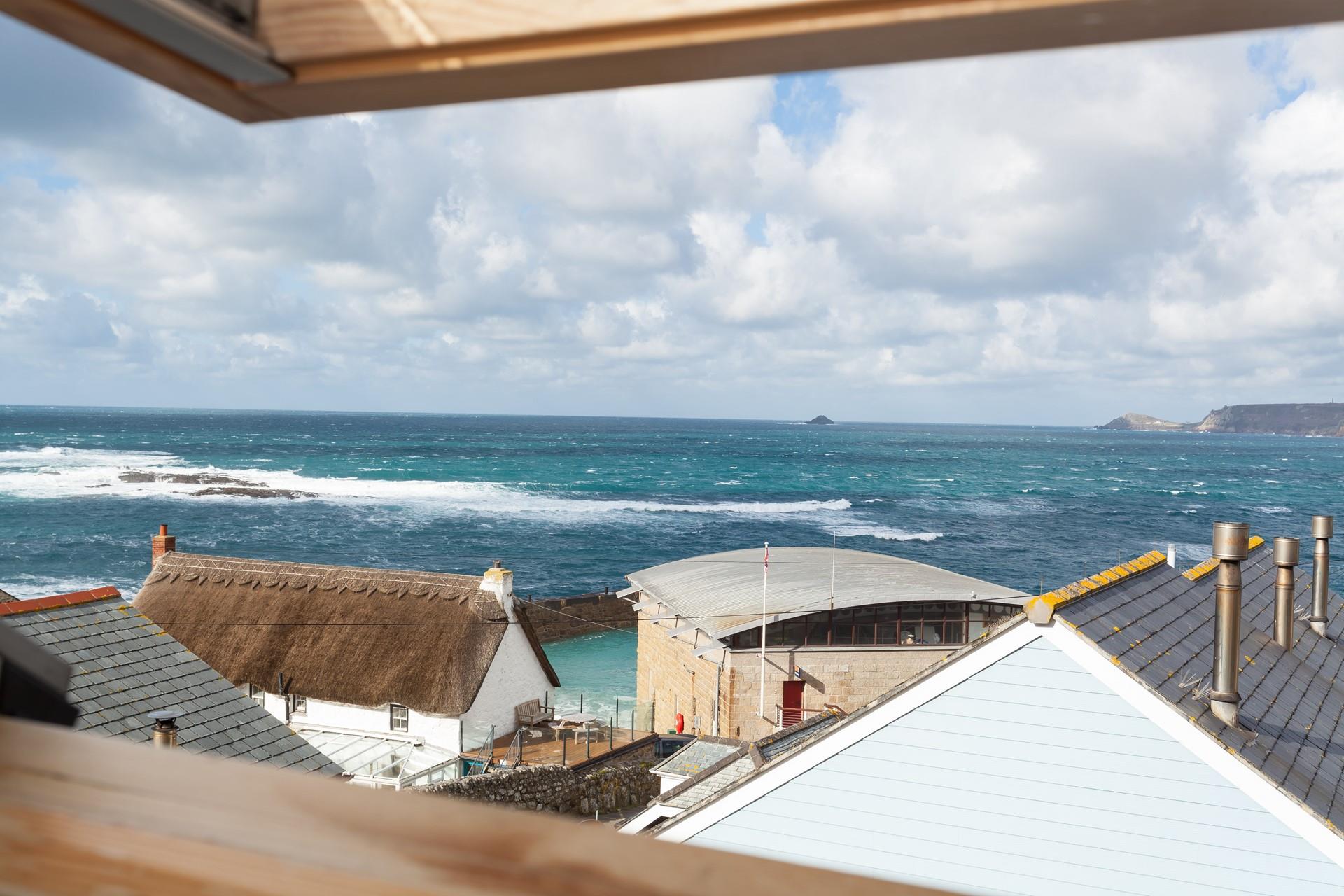 Herring Gull, Sennen Aspects Holidays