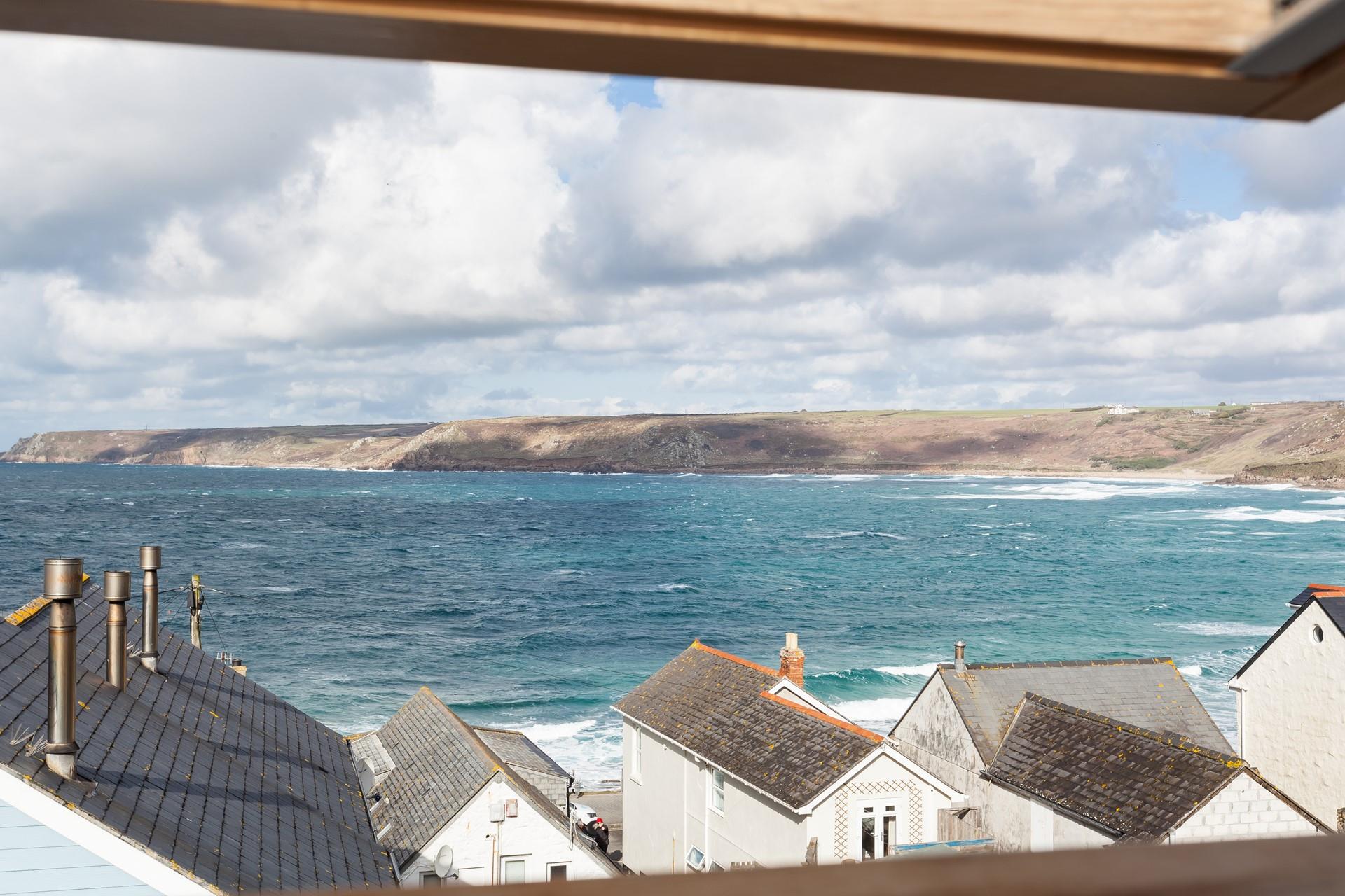 Herring Gull, Sennen Aspects Holidays