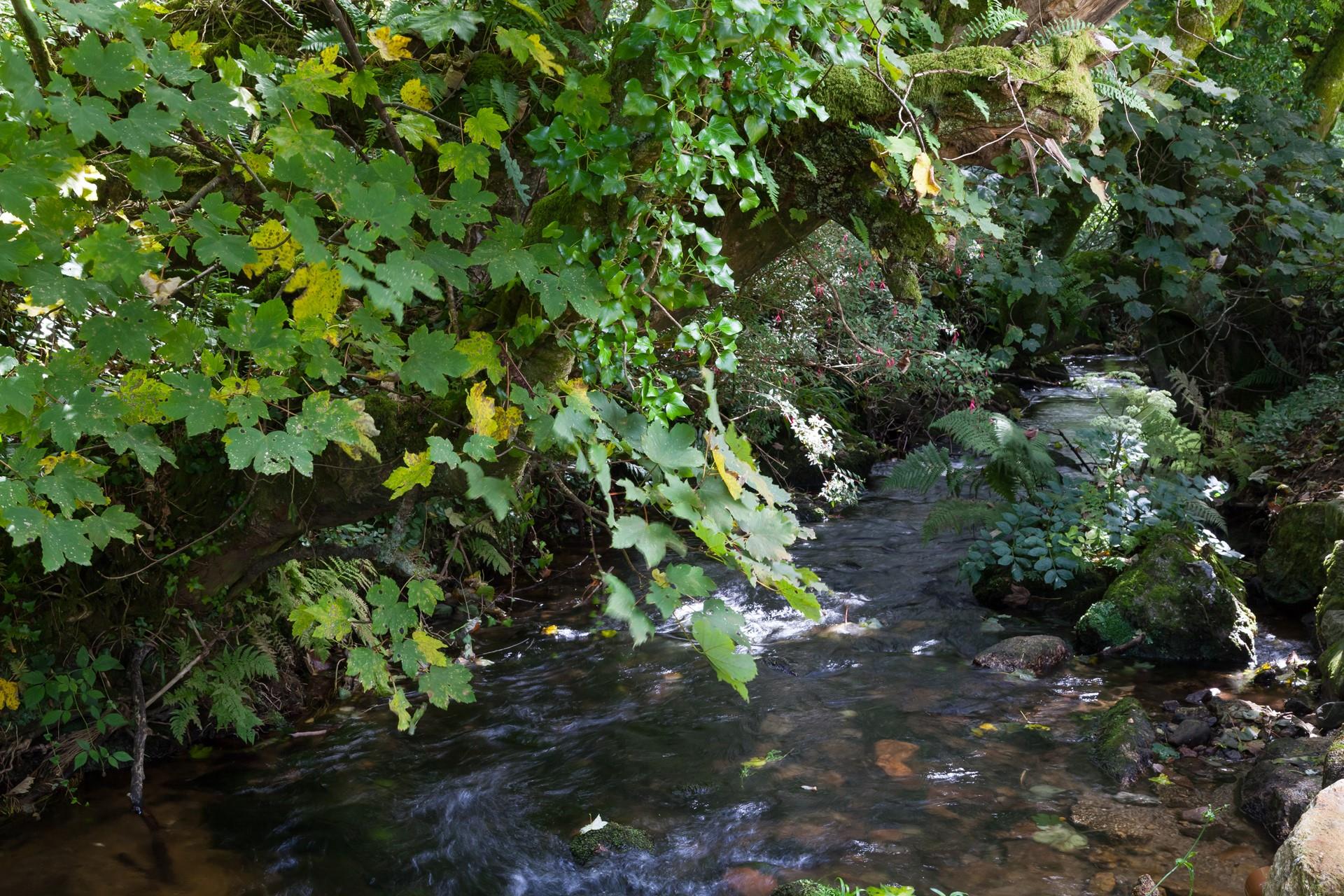 Sunbathe in the garden with just the sound of the river and wildlife.