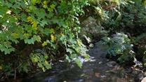 Sunbathe in the garden with just the sound of the river and wildlife.