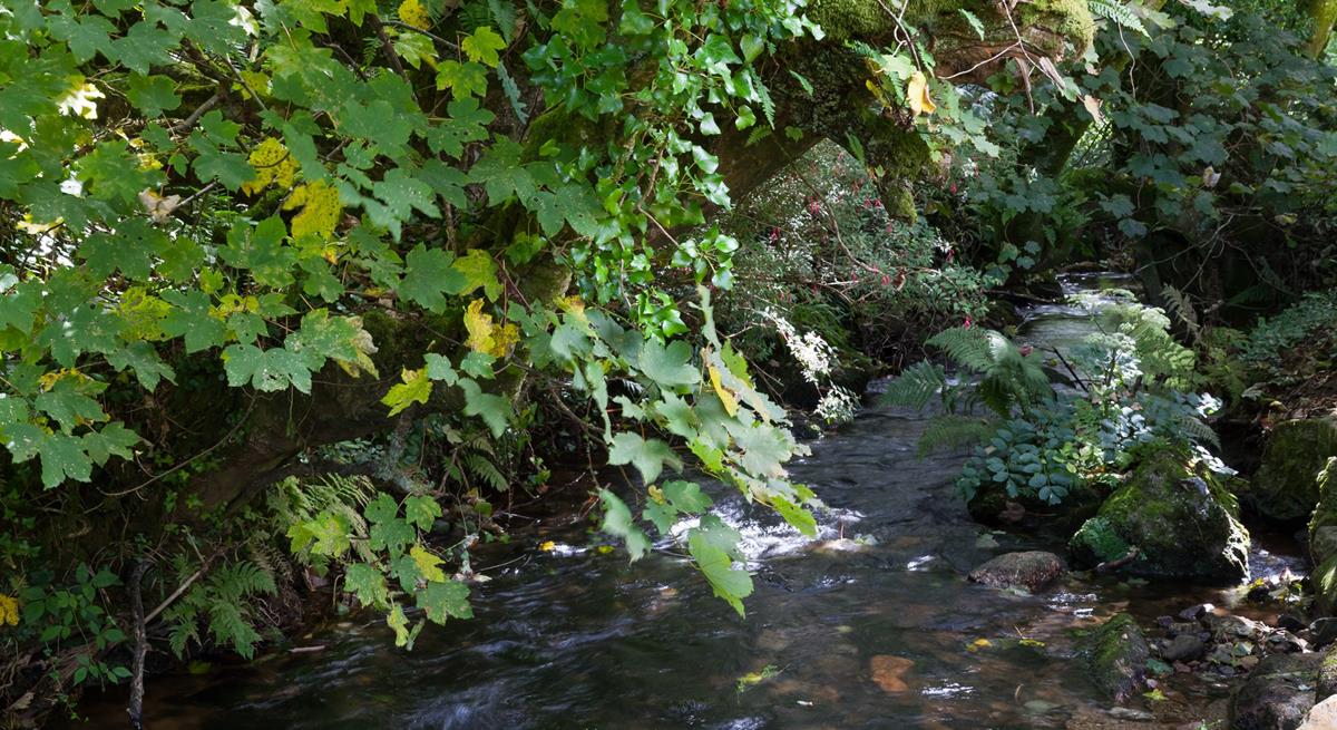 Sunbathe in the garden with just the sound of the river and wildlife.