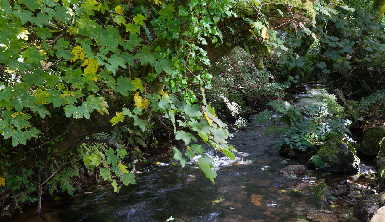 Sunbathe in the garden with just the sound of the river and wildlife.