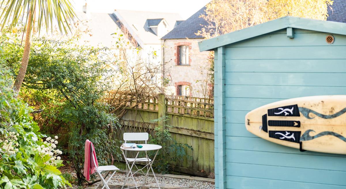 Head out into the Bay on one of the many boat trips and see what sealife you can spot.