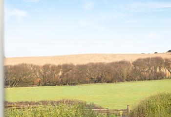 With lovely views over the fields, St Padarn is a beautiful holiday destination very close to the sea.