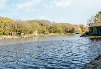 Watch the wildlife on the canal from the apartment.