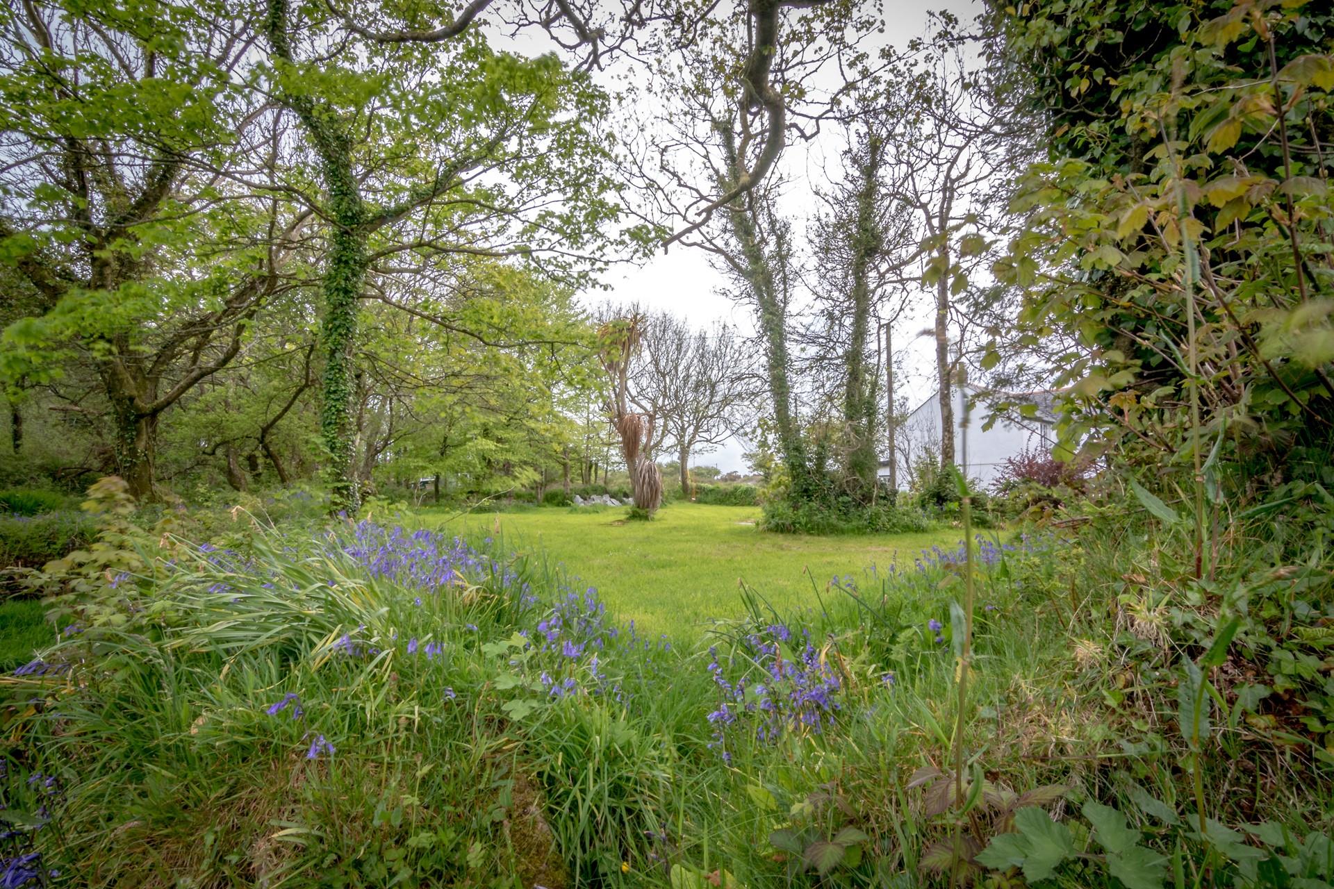Discover the Flora, Fauna and wildlife whilst exploring the grounds of The Farmhouse.