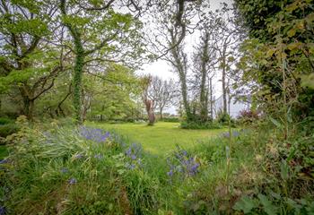 Discover the Flora, Fauna and wildlife whilst exploring the grounds of The Farmhouse.