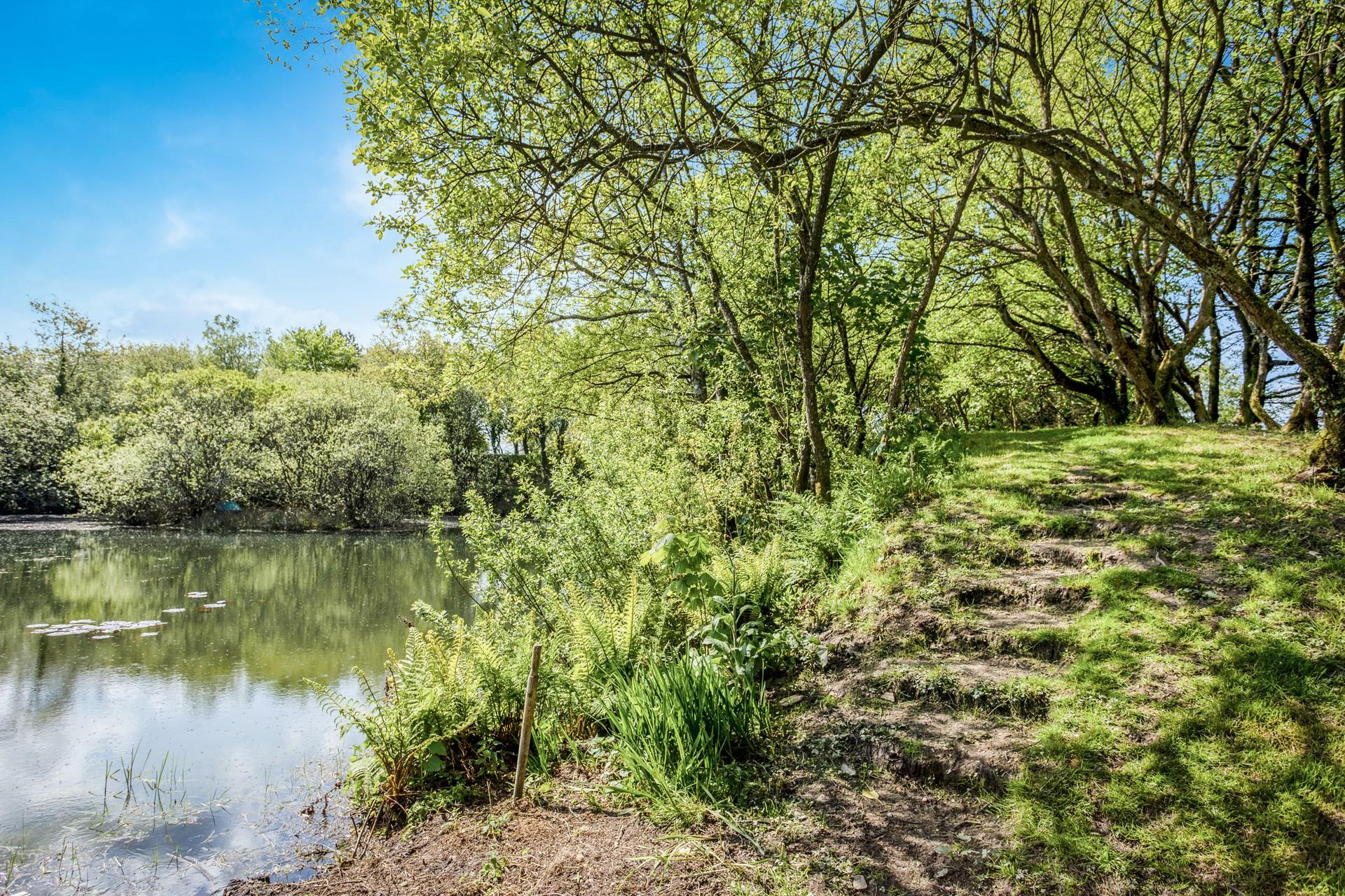 Sunbathe in the garden in the balmy summer months.