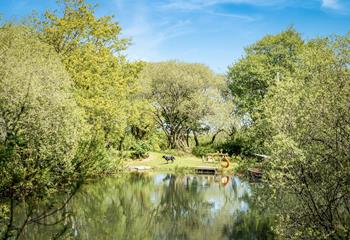 Take a stroll around the lake and look out for wildlife.