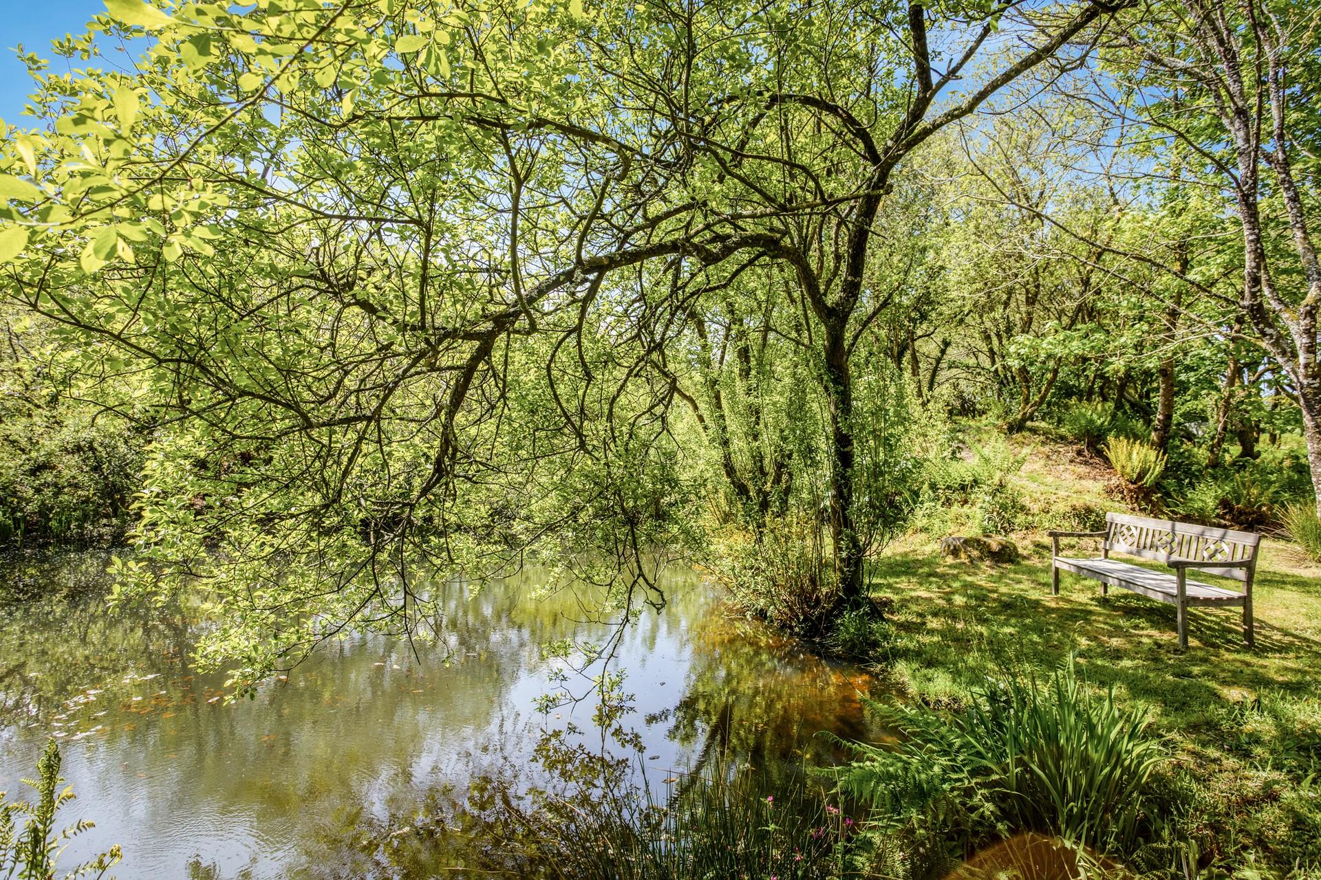 There are plenty of places to sit and enjoy the garden.