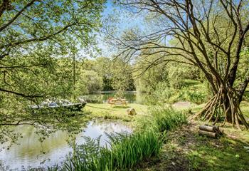 Discover flora and fauna whilst exploring the grounds of The Farmhouse.