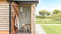 You can give your furry friends a wash after they've had a day of fun in the sand.