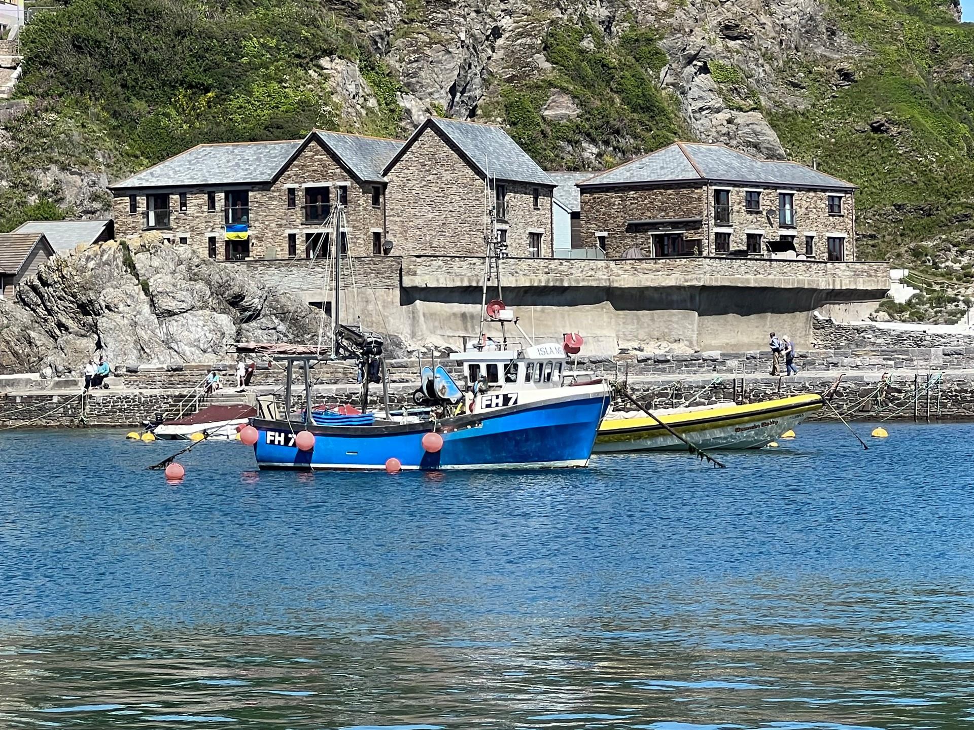 Why not take a boat trip and see what sealife you can spot?