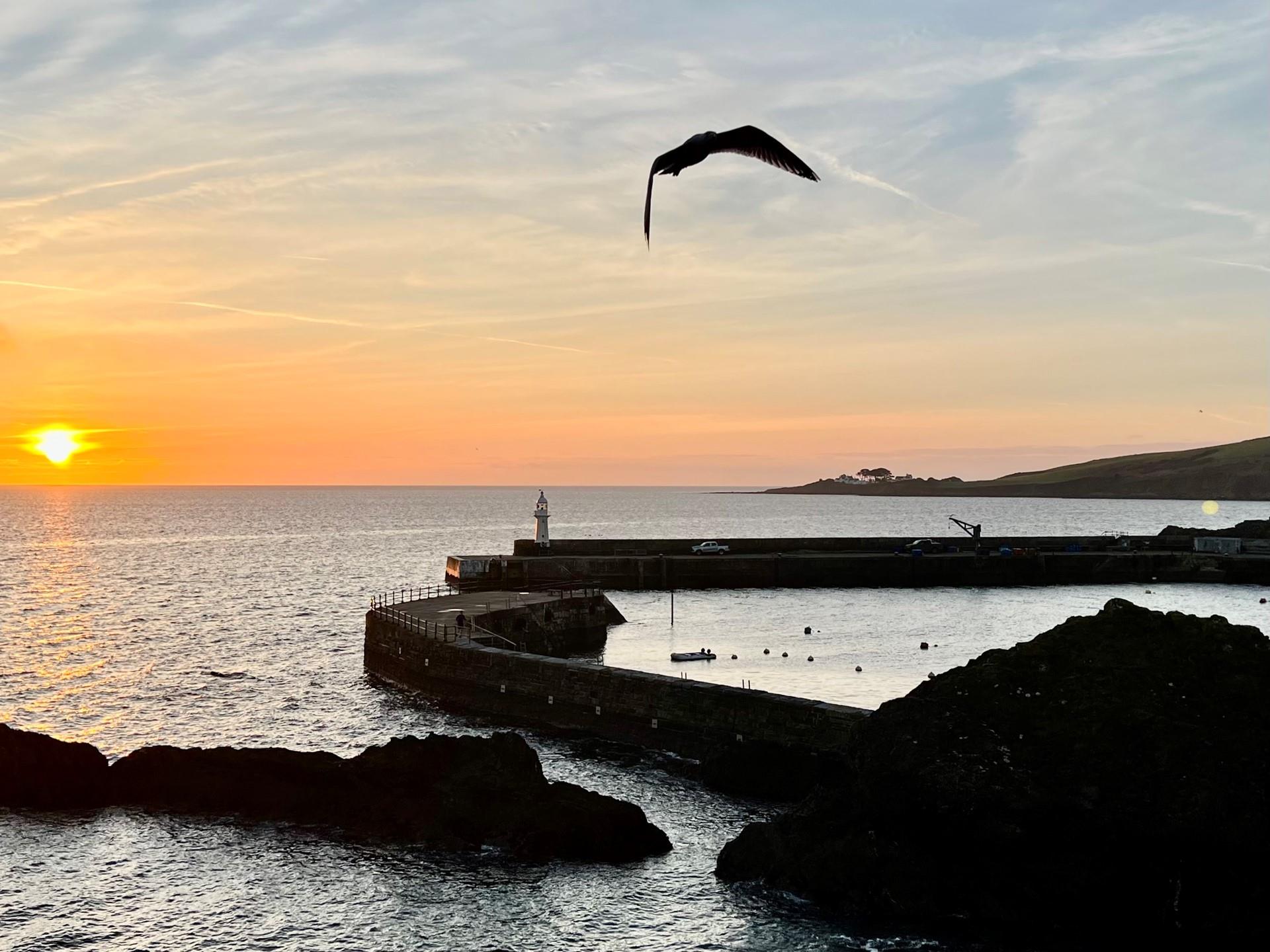 Watch the sunset over the harbour after a memorable day spent with your family.