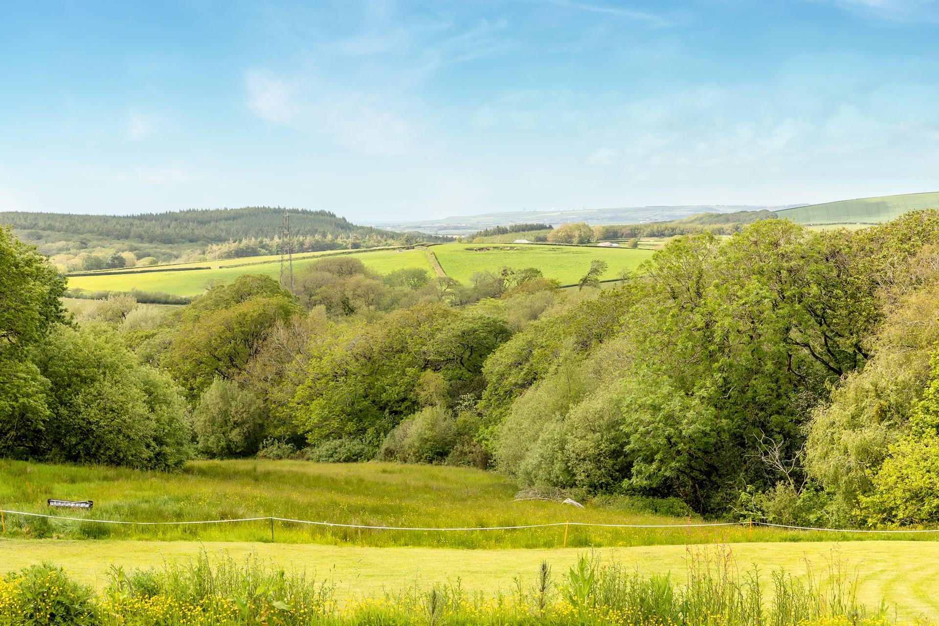 Soak up the views from The Fern, fields, trees and wildlife with the ocean on the horizon.