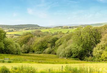 Soak up the views from The Fern, fields, trees and wildlife with the ocean on the horizon.