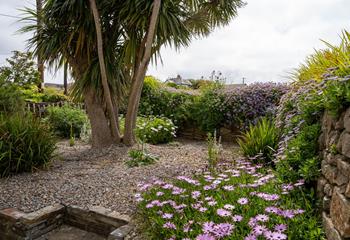 The front gravelled garden area blooms with flowers in spring and summer.