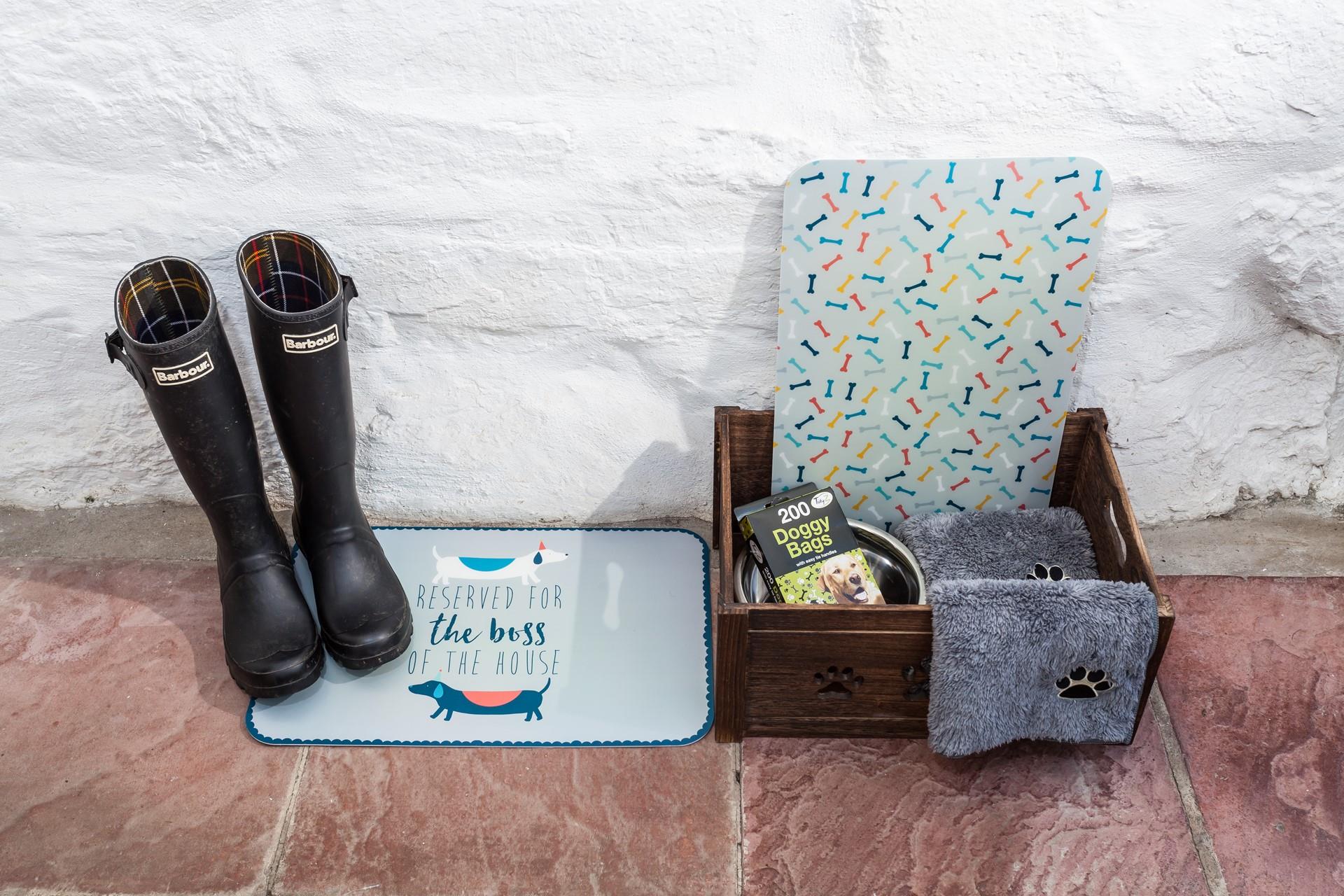 If the weather does decide to take a turn for the worse, don't hesitate to embrace the elements with your four legged family member. 