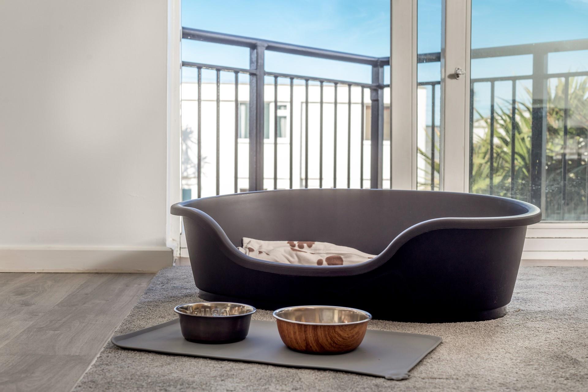 You don't have to leave your furry friend behind!